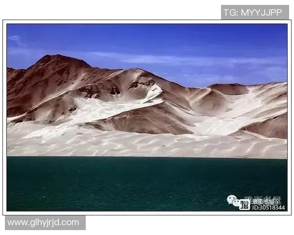 新疆雪豹纳欢与黑龙江火山的壮丽对决探索自然奇观与生态保护之路